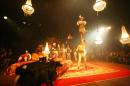le chant du dindon 047 * 4368 x 2912 * (7.32MB)